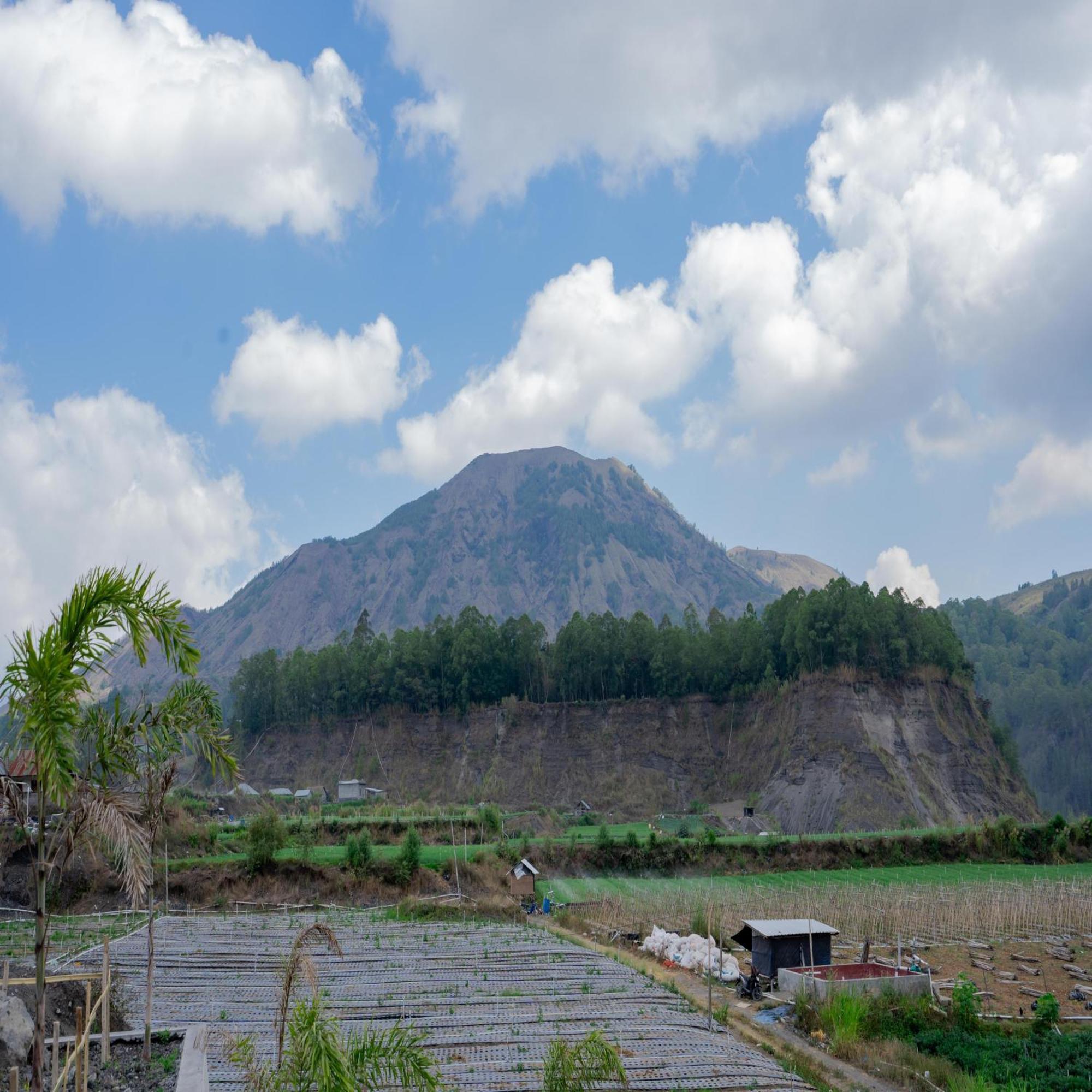 Batur Kencana Villa Mitra Reddoorz Baturaja  Extérieur photo